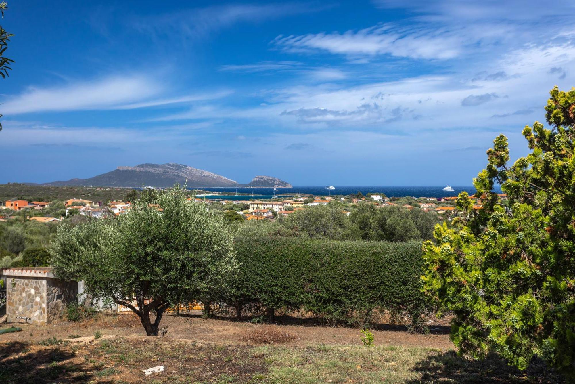 Homey Experience - Panorama Retreat Olbia